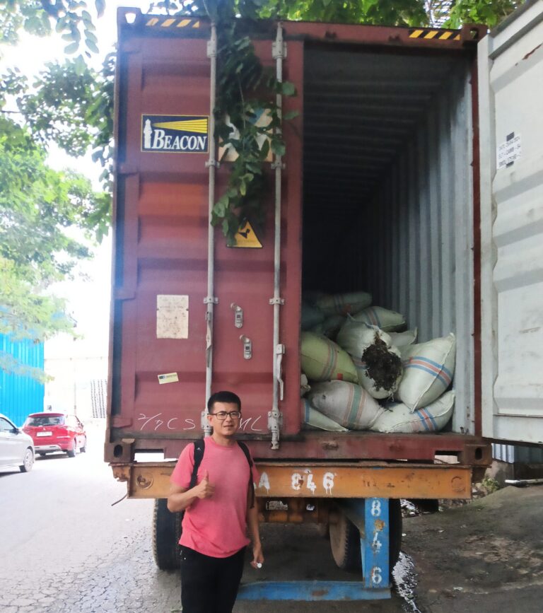 seaweed export