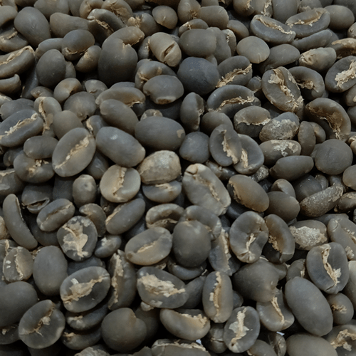 aceh gayo coffee beans