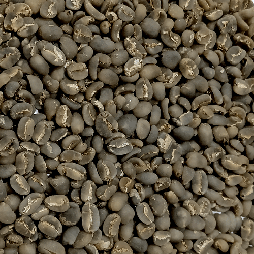 sumatra lintong coffee beans