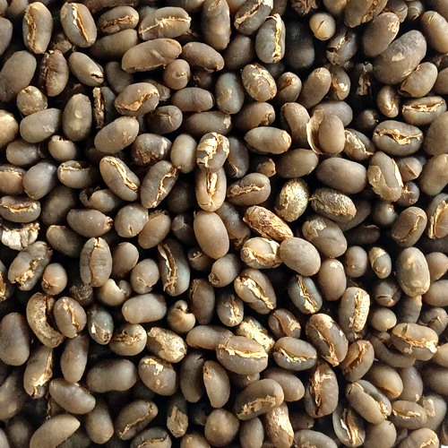peaberry coffee beans