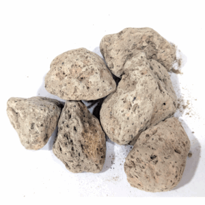 pumice-stone