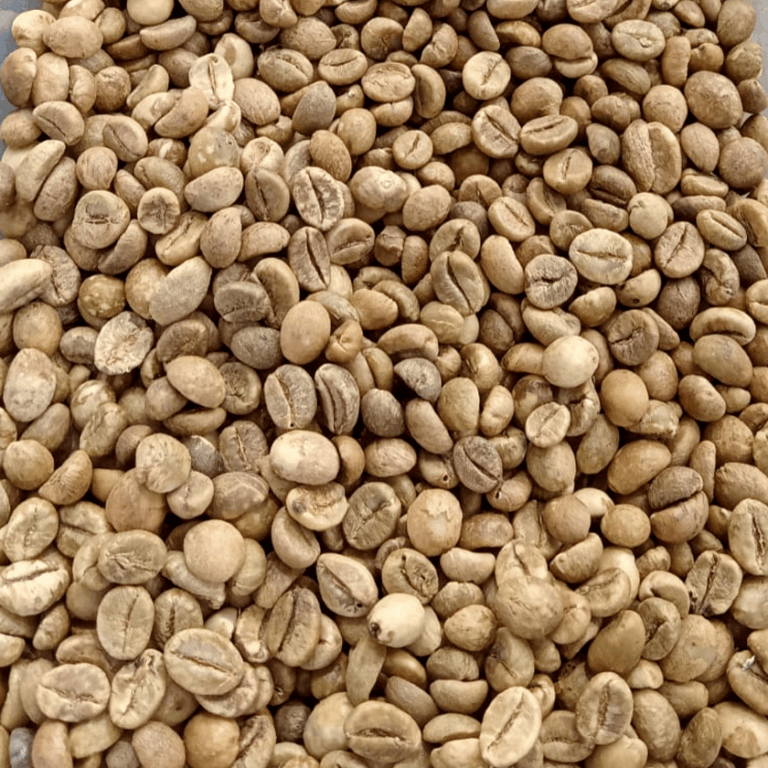 sumatra robusta coffee beans