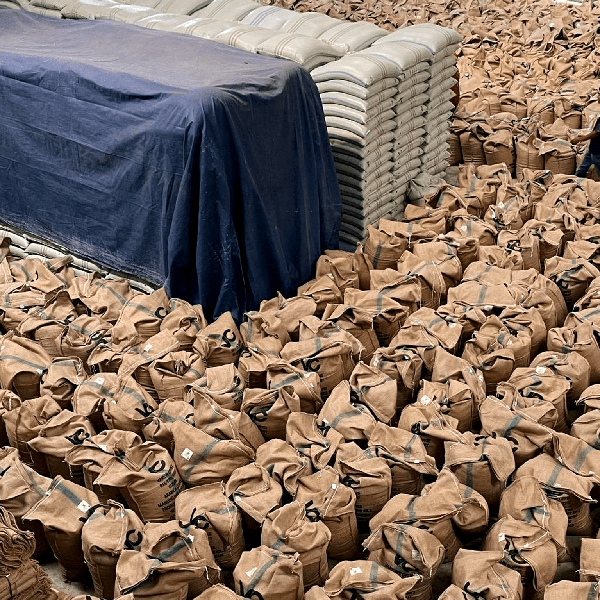 coffee warehouse