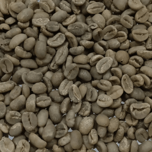 wild luwak coffee beans
