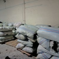IMG20240701195627