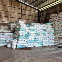 Factory Price Natural Dried Cloves