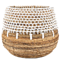rattan